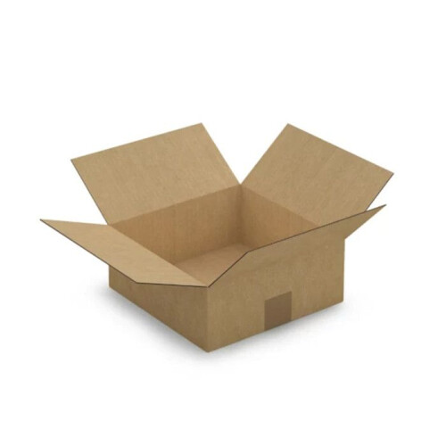 Verpackungskarton 25 x 25 x 10 cm - Einfache Welle