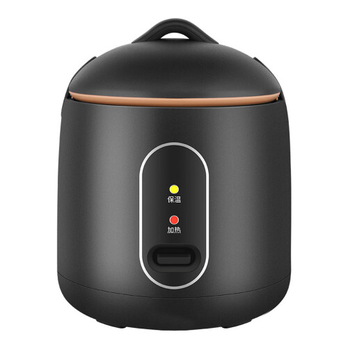 Home Mini Rice Cooker Black Small Dormitory