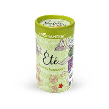 6 duftende Wachsschmelzer - Sommer