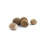 Muscade intera bio - 25 g 1