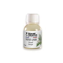 Parfum pour Savon - GRAINE CREATIVE - Réveil Tonic - 27 ml - Multicolore - DIY - Adulte