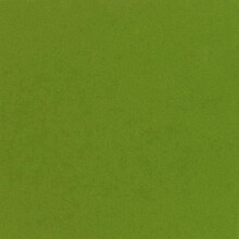 HARSOKANGAS - ARTEMIO - HUONEPUIDEN VÄRI