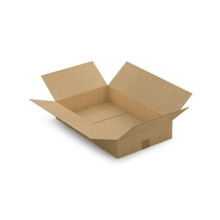 Verpackungskarton 55 x 35 x 10 cm - Einfache Welle