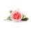 Creative Seed - Candle Fragrance 27 ml Rose 2