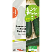 Pepino verde longo maraicheiro 0.5 g