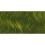 Williamsburg : Ölfarbe : 37ml Olivgrün 1