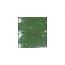 Pastel suave - SENNELIER - Cromo Verde 227 - Cor principal: Verde - Misturado - Adulto