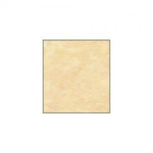 Pastel Gamboge 372 Sennelier