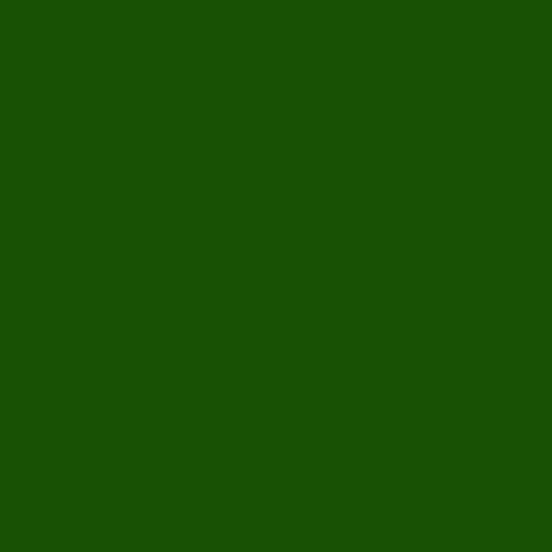 Stylus - Sakura - Pigma Micron 01 - Verde - 0.25 mm - Professionale 1