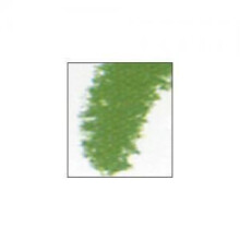 Sennelier Pastel Verde Floresta 915