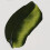 Ölfarbe - Olivegrün - 620 - Mit Safloröl - Van Gogh - 40ml 2
