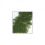 Sennelier Pastel Verde Floresta 913 1