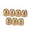 Brass Acorn Nut Kit Dome Head Cap Hex Nuts Set 10