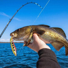 6Pcs Floating Topwater Fishing Lures Set, 10cm, 13g with 3D Eyes