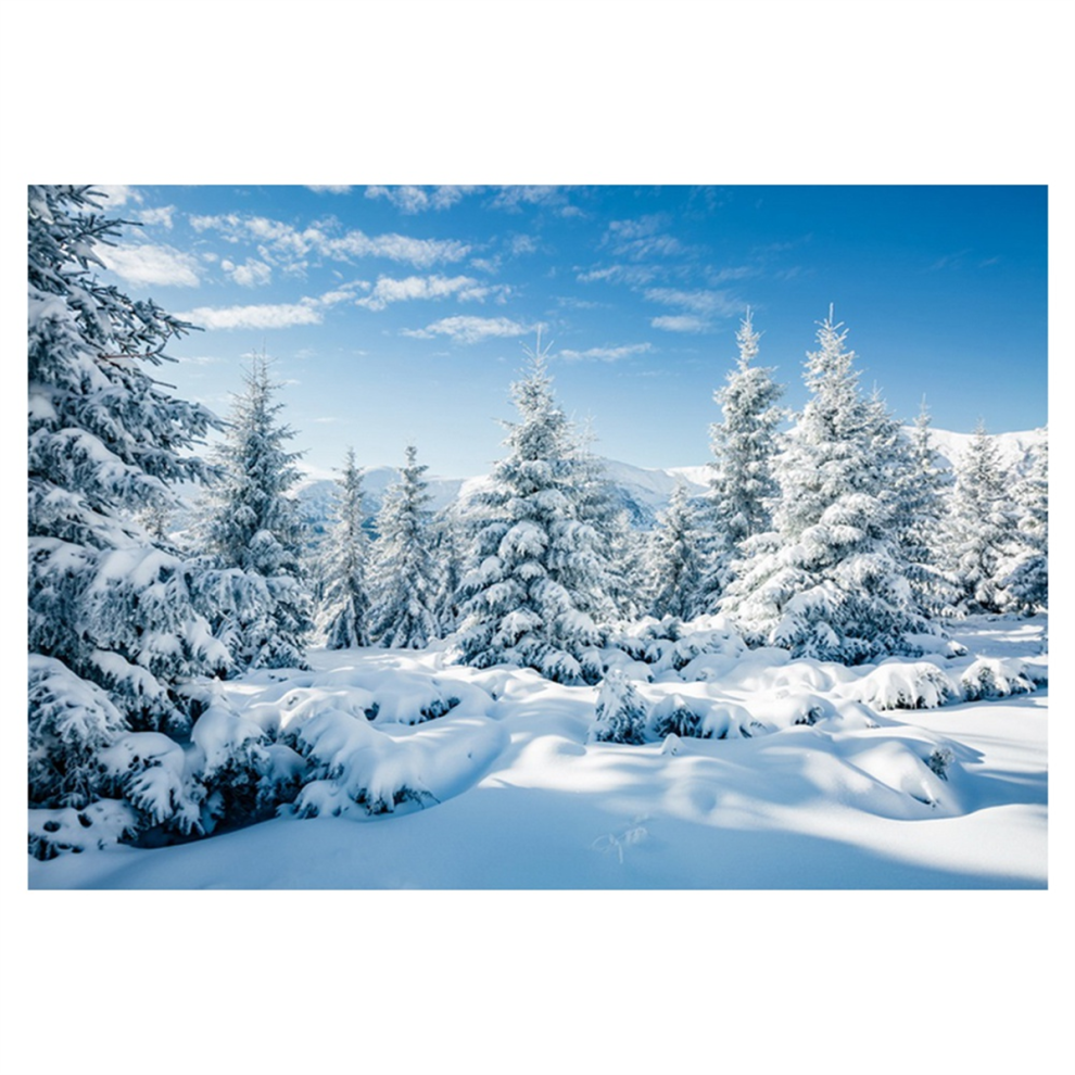 210X150cm Winter Snow Background Cloth Party Photography Backdrops, E 4853609583094