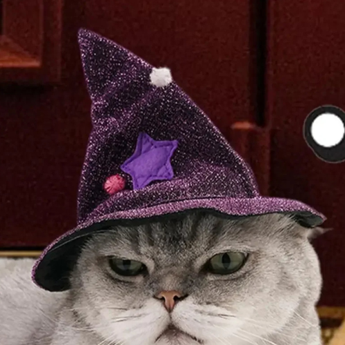 Halloweenský kostým pre mačky a psov 2