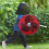 Rüstung Kostüm Cosplay Dekorative Schlacht Halloween Schild 30cm 7