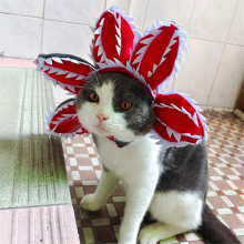 Halloweenska čiapka pre domáce zvieratá, pohodlná, živá, zvieracia čiapka, veľkosť L