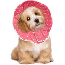 Comfortable Post-surgery Collar for Cats And Dogs, Robust, Waterproof, Resistant To Scratches And Bites, Easy To Clean, with Adjustable Clip