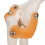 Full Size Elbow Skeleton Model for Teaching Study and Medical Demonstrations 10