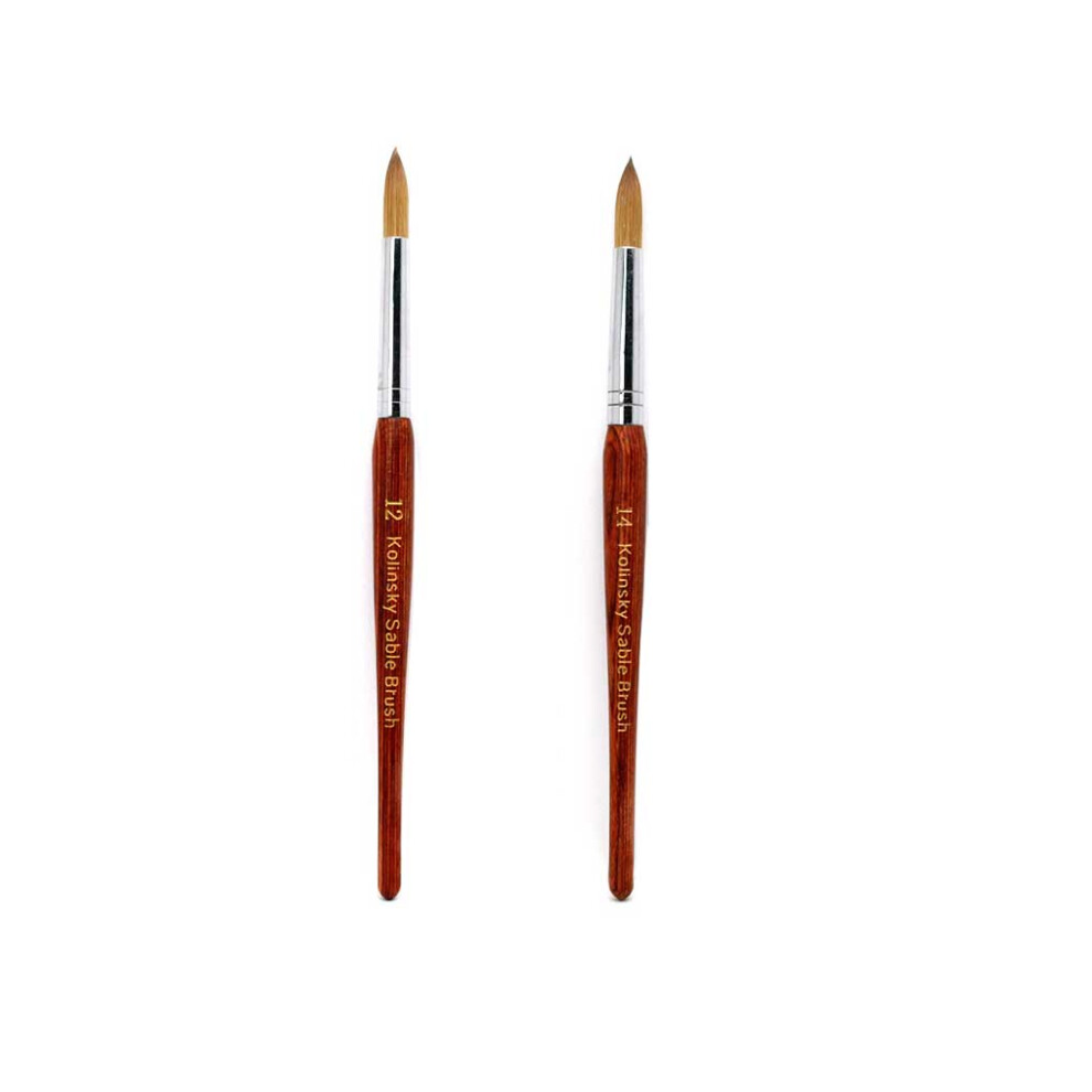 2X Manicure Pen Nail Art Women Supplies Paint Pencils Professional