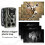 Hunting Camera Battery Powered Waterproof Motion Detection 36 LED 2