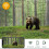 WiFi 30MP Hunting Camera 4 Digit Password Remote Control Night View 3