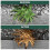 Enviro Works Weed Gone 2.5L & 5L Refill Long Trigger Weedkiller 9