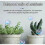 (1pc) Concentrated All-purpose Fertilizer Ease Plant Food Tw 5