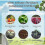 (1pc) Concentrated All-purpose Fertilizer Ease Plant Food Tw 4
