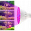 Panel Lamp for Plant Growth 200 Led E27 4