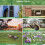 Durable And High Resolution Hunting Camera For Wildlife Enthusiasts 3