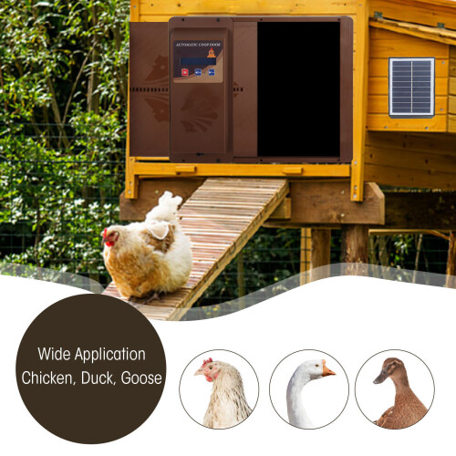 USB Solar Powered Automatic Chicken Coop Door 2