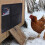 Solar Powered Automatic Chicken Coop Door USB 11