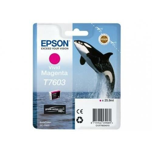 Epson EPSON Ink/T7603 Viv Magenta 1