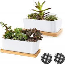 White Ceramic Succulent Pots, Set Of 2 Small Cactus Containers, Bonsai Pots, Flower Pots with Drainage Hole And Bamboo Bowl (no Plant)