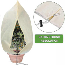 Plant Cover