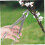 Jinyi Branch Tool Scissors Branch Round Ed Tree Pruners Trimmer En Tools Branch Tool(1pc, Silver) 8