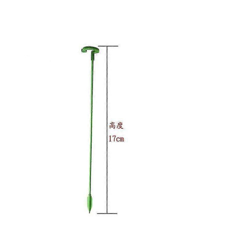 20pcs Plant Support Inserts Single Stem Plant Support Garden Plant Inserts 2