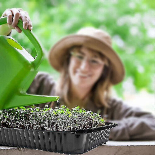 5 Pcs Black Growing Trays Without Drain Holes Rectangular Plastic Seed 2