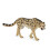 CollectA King Cheetah 1