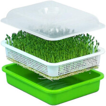 Seed Sprouter Tray with Lid Bpa Free Bean Sprout Grower Sprouting Seeds Tray, Dirt Free Way And Big (haoyi-YUHAO