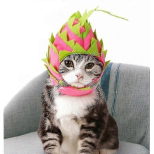 pet Dragon Fruit Dog Funny Hat Cat Hooded Halloween Costume Breathable Cap(l)