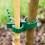 24pcs Stump Support Straps, Garden Stake Connectors, Tree Straps for Stakes, Tree Support Straps for Stumps 15