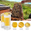Queen Bee Cage, Plastic Queen Bee Marker Catcher, Beekeeping Plunger Tool, Durable Bee Marking Bottle 4