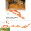7/8/9 Frame Hive Spacer Tool for Bee Hive Frames, Plastic Beekeeping Equipment, Orange 9 Frame Apiculture Accessory 5