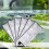 Ceramic Filter Media for Aquariums, 3 Pieces, Efficient Water Filtration, Space-Saving Maintenance Solutions 3