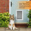Dog Door Flap Weather Resistant Translucent 15