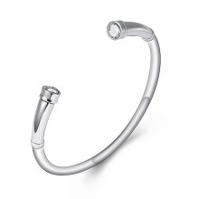 Memorial Ashes Urn Bracelet for Ashes Holder, Stainless Steel Cremation Jewelry for Humans and Pets, Includes Two Screws