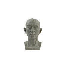 Plaster Portrait Teaching Aid Simulation Tool for Sketching - Mini X7M2 D Unit, Flat Head Resin Version, Practical Size